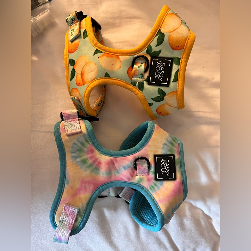 Dog harness